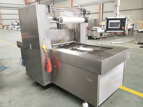 上海雙室擺蓋真空包裝機(jī)聯(lián)系電話 質(zhì)量放心可靠，優(yōu)選諸城廣元機(jī)械設(shè)備